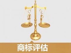 商標(biāo)的價(jià)值評(píng)估，新手賣(mài)家必看